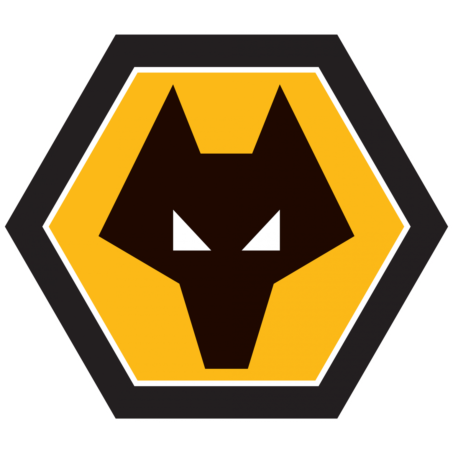 Wolverhampton FC